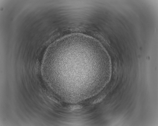 X0000083590659200702231722