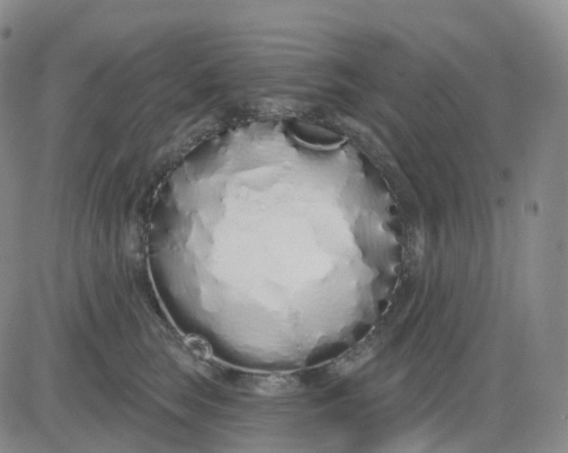 X0000083590663200702231722