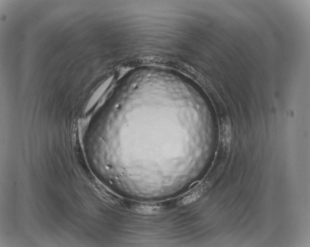 X0000083590664200702231722