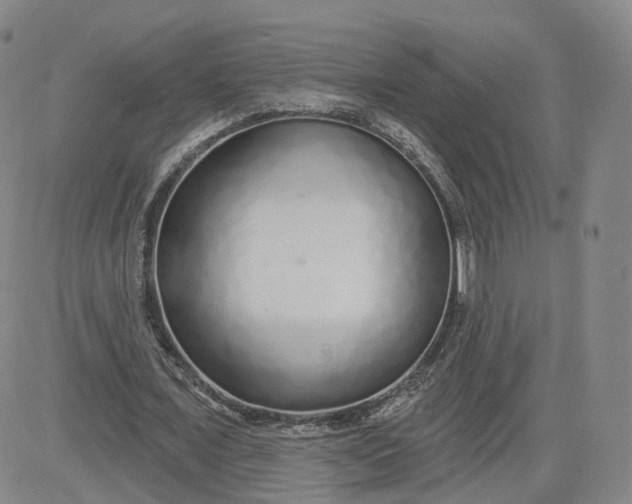 X0000083590675200702231721
