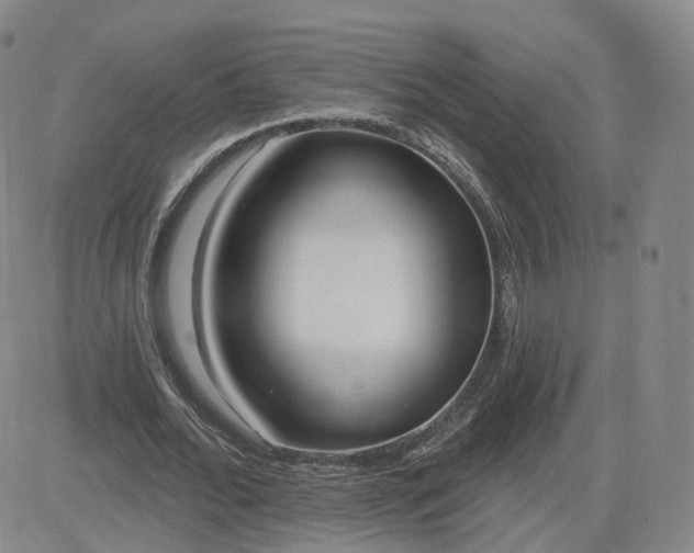 X0000083590676200702231721