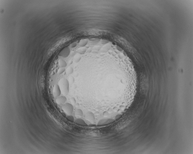 X0000083590683200702231721