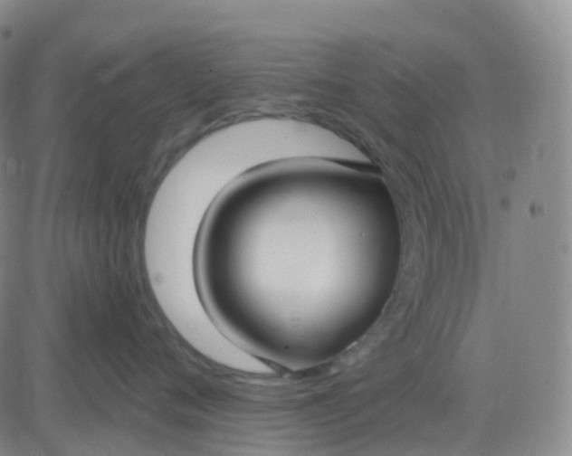 X0000083590720200702231721