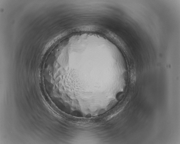X0000083590725200702231720