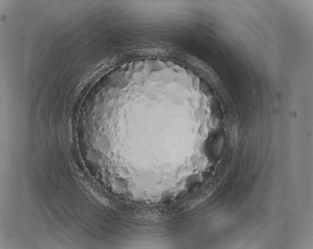 X0000083590729200702231720