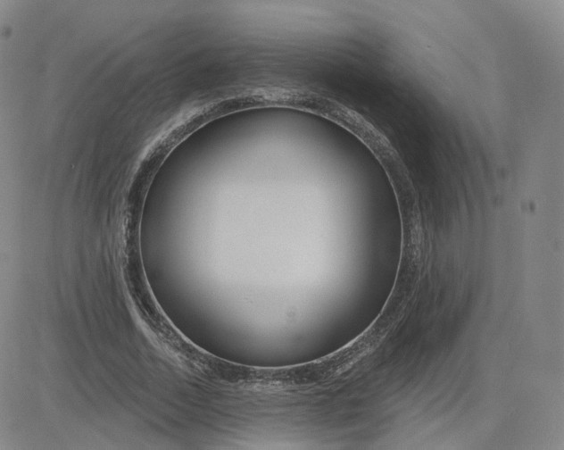 X0000083590730200702231720