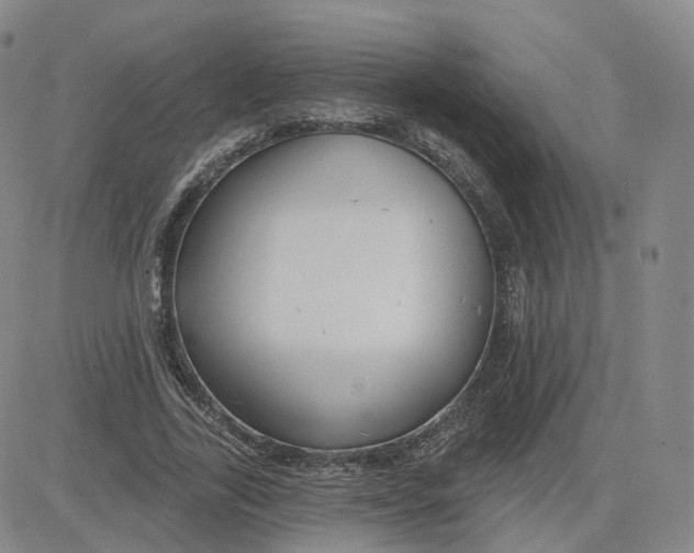 X0000083590731200702231720