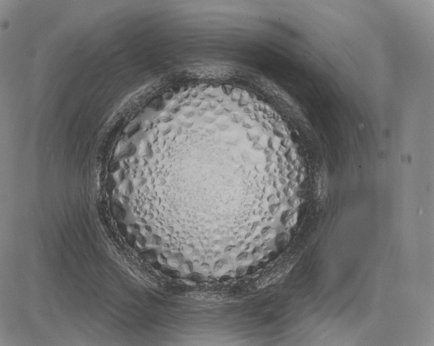 X0000083590733200702231720