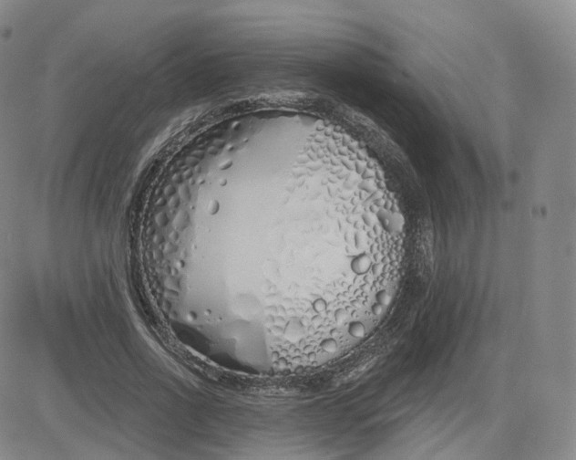 X0000083590734200702231720