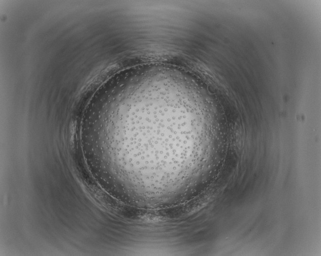 X0000083590742200702231720