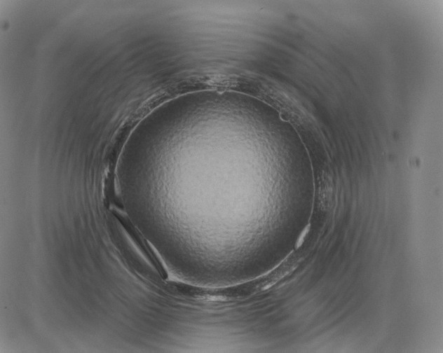 X0000083590748200702231720