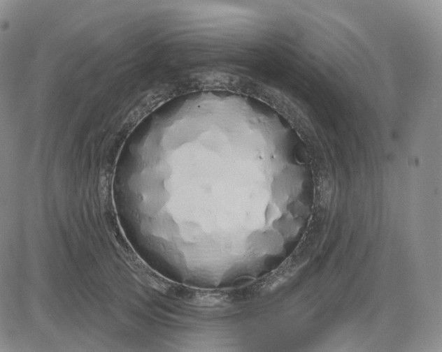 X0000083590753200702231720