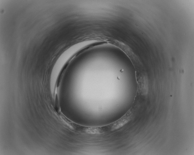 X0000083590762200702231721