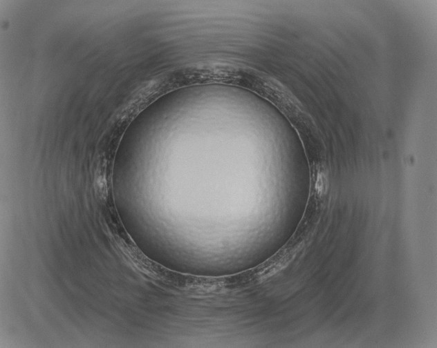X0000083590771200702231720