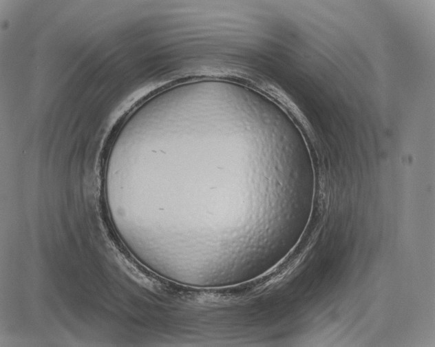 X0000083590787200702231720