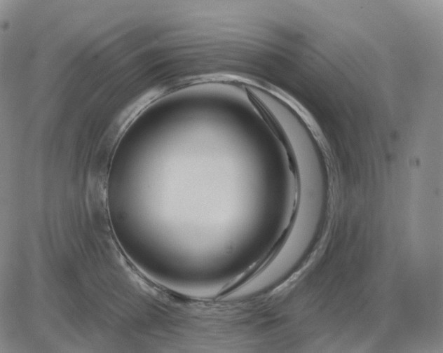 X0000083590809200702231719