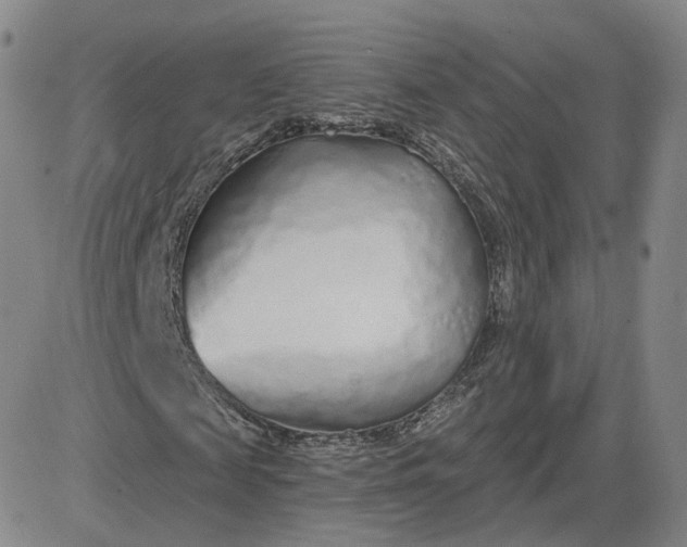 X0000083590817200702231718