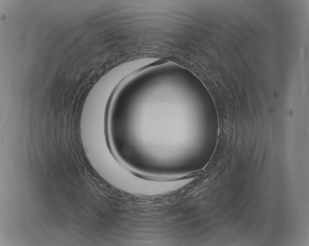 X0000083590818200702231718