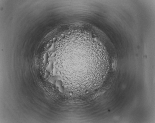 X0000083590819200702231718