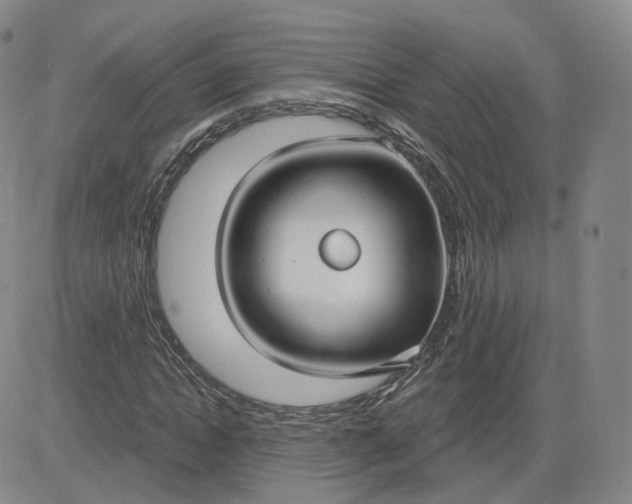 X0000083590822200702231718