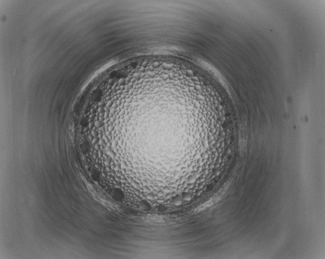 X0000083590827200702231718