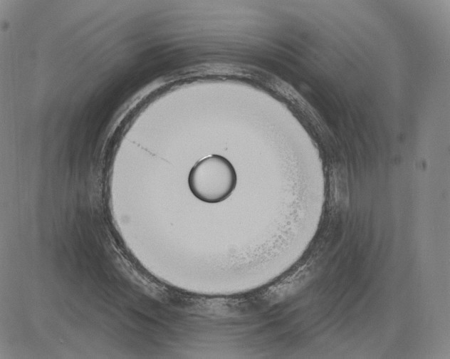 X0000083590828200702231718