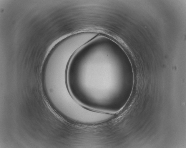 X0000083590838200702231719
