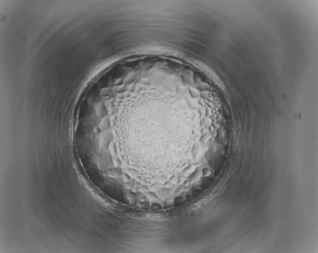 X0000083590839200702231719