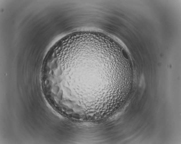 X0000083590847200702231719