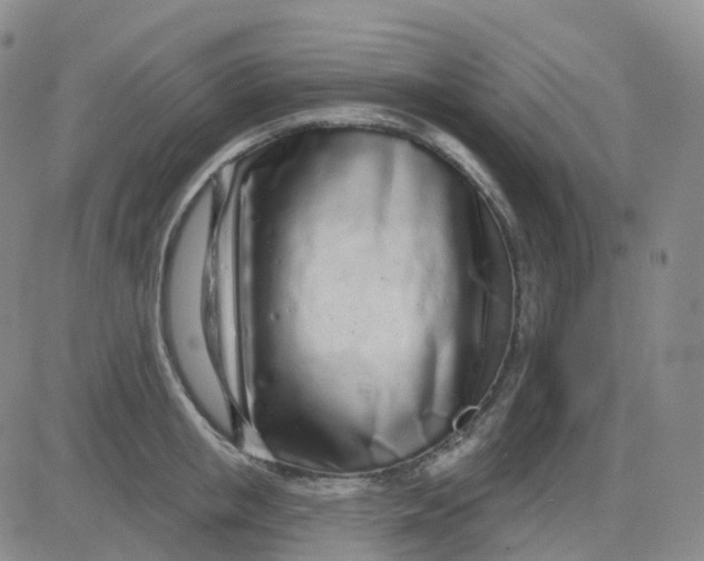 X0000083590853200702231719