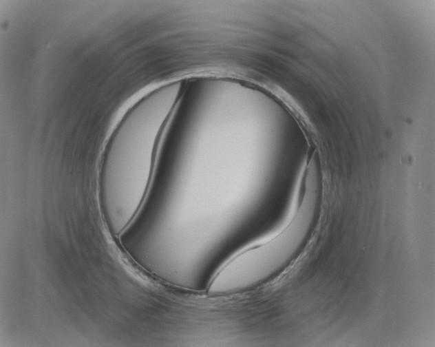 X0000083590854200702231719