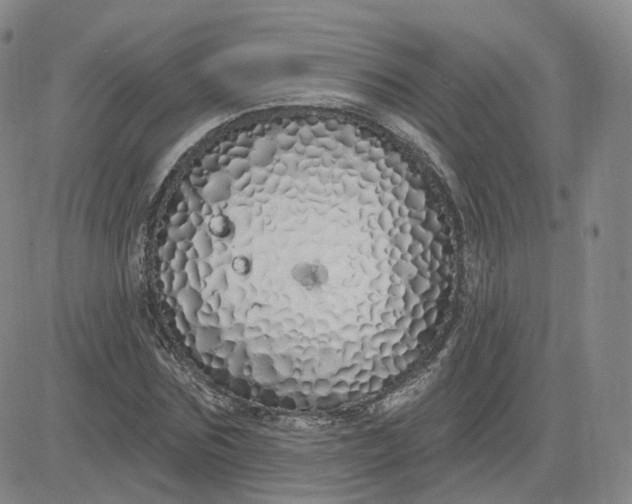 X0000083590875200702231718