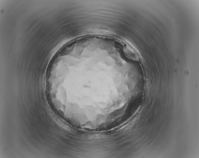X0000083590891200702231718