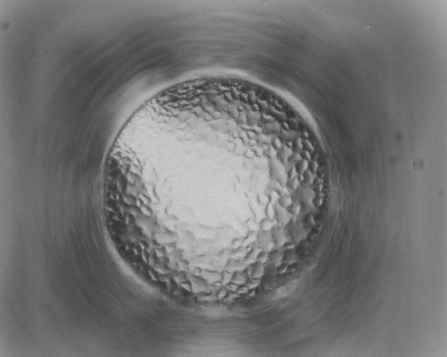 X0000083590911200702231718