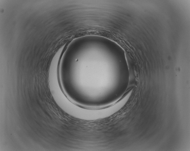 X0000083590916200702231717