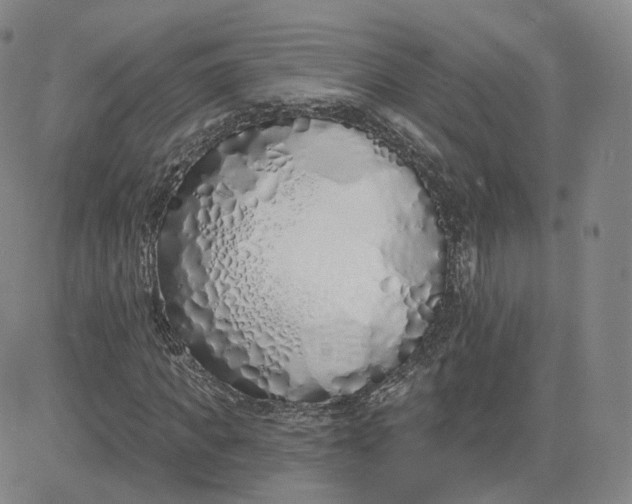 X0000083590917200702231717