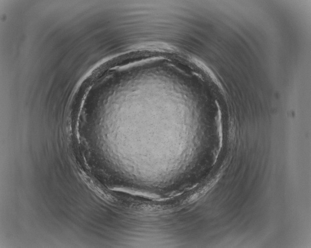 X0000083590923200702231717