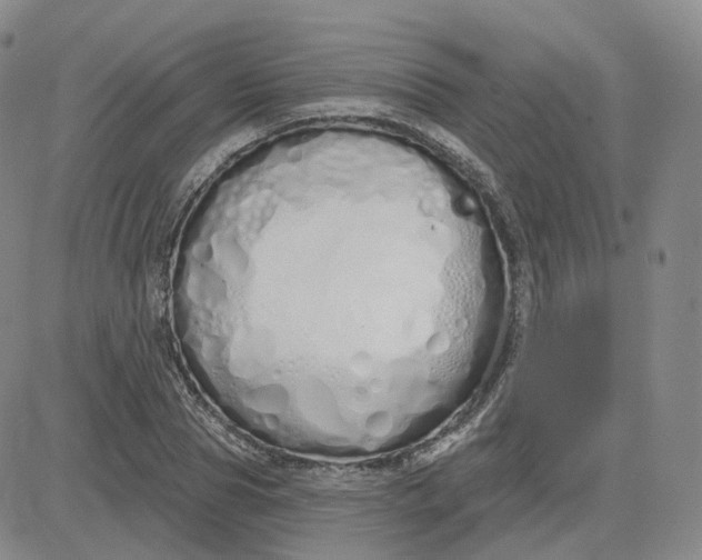 X0000083590929200702231717
