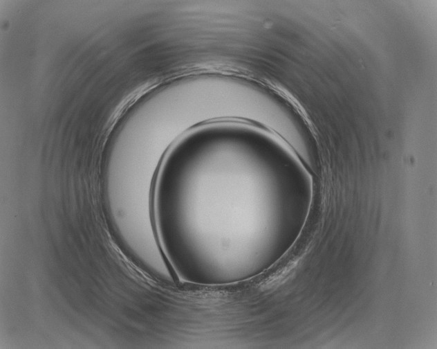 X0000083590930200702231717