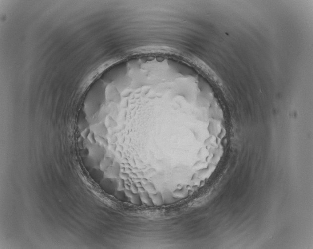 X0000083590937200702231717