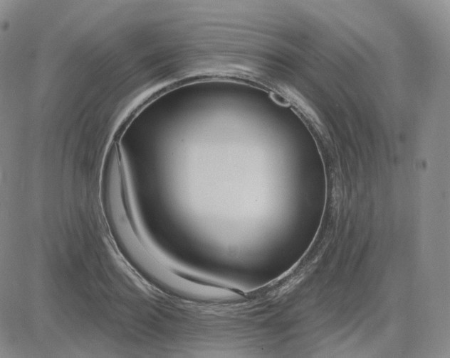 X0000083590940200702231717