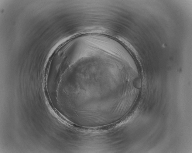 X0000083590941200702231717