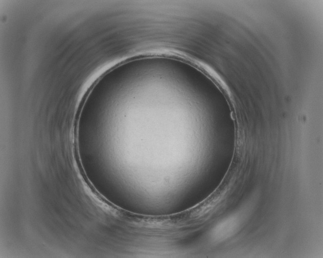 X0000083590951200702231717