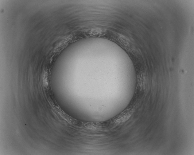 X0000083590962200702231717