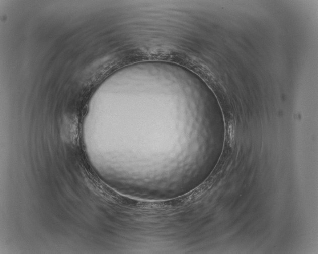X0000083590963200702231717