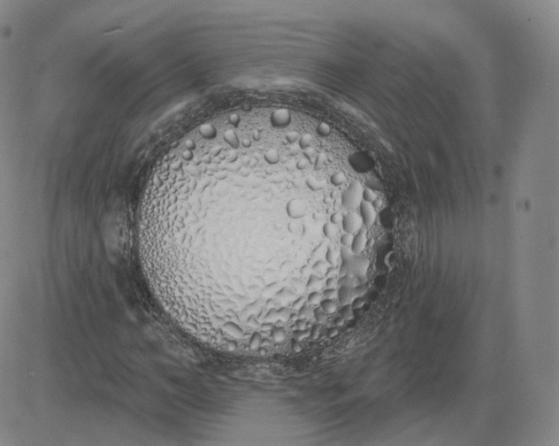 X0000083590966200702231717