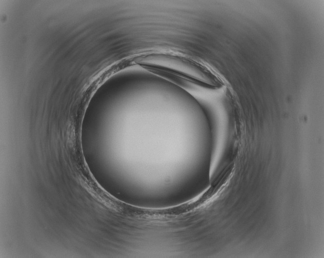 X0000083590969200702231717