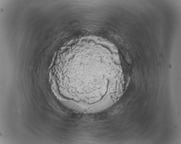 X0000083591009200702231715
