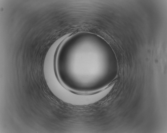 X0000083591010200702231715