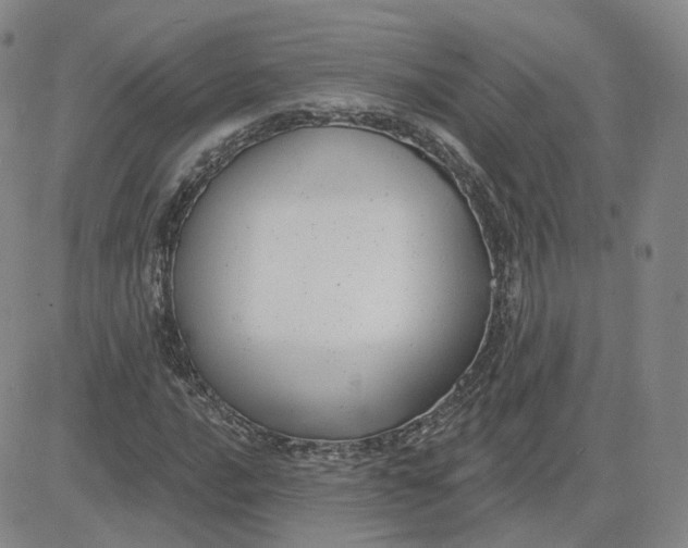 X0000083591016200702231715